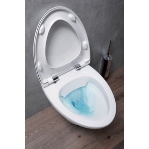 Унитаз подвесной (чаша) Jacob Delafon Nouvelle Vague безободковый (EDJ102-00)