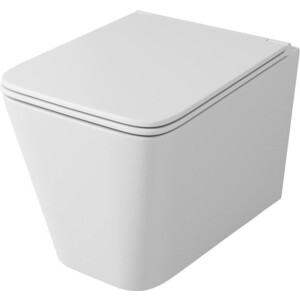 Унитаз подвесной безободковый OWL 1975 Vatter Ruta-H с сиденьем DP микролифт (OWLT190401)