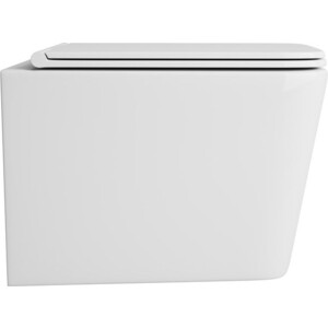 Унитаз подвесной безободковый OWL 1975 Vatter Ruta-H с сиденьем DP микролифт (OWLT190401)