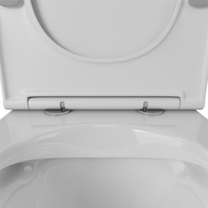 Унитаз подвесной безободковый OWL 1975 Vatter Ruta-H с сиденьем DP микролифт (OWLT190401)