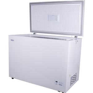 Морозильная камера Renova FC-310