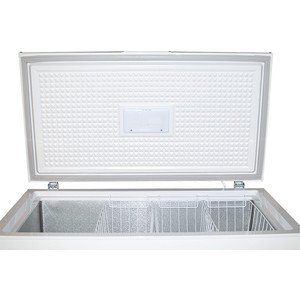 Морозильная камера Renova FC-310