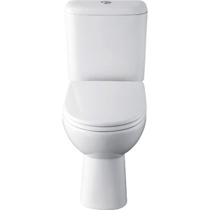 Унитаз-компакт Roca Access наклонный выпуск, с сиденьем микролифт (34P23900Y)