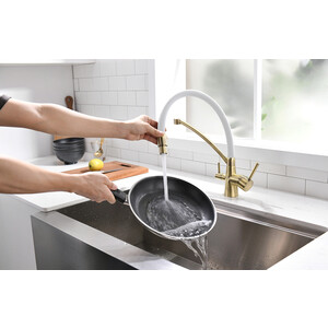 Смеситель для кухни Paulmark Siegen с гибким изливом, бронза (Si213111-BRw)