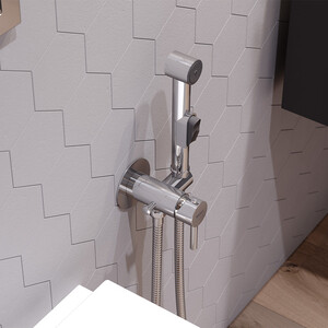 Гигиенический душ Damixa Redblu Option с гигиенической лейкой, хром (211000000)