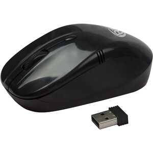 Мышь Ritmix RMW-111 black