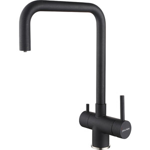 Смеситель для кухни Paulmark Wetter с подключением фильтра, черный металлик (We213030-418)