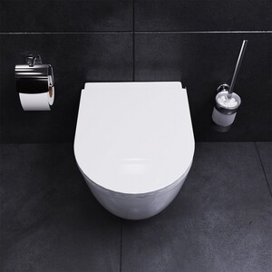 Унитаз подвесной безободковый Damixa Sirius с сиденьем микролифт (DX86C1700SC)