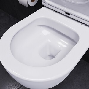 Унитаз подвесной безободковый Damixa Sirius с сиденьем микролифт (DX86C1700SC)