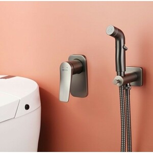 Гигиенический душ Lemark Bronx с гигиенической лейкой, встраиваемый, графит (LM3719GM)