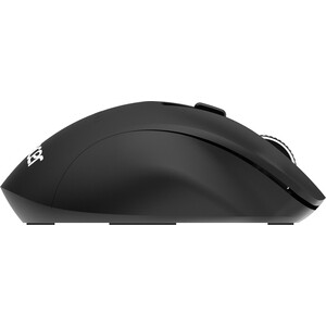 Мышь Acer OMR140 черный оптическая (1600dpi) беспроводная USB (6but) (ZL.MCEEE.00G)