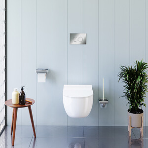 Унитаз подвесной безободковый Damixa Scandinavian Pure с сиденьем микролифт (DX36C1701SC)