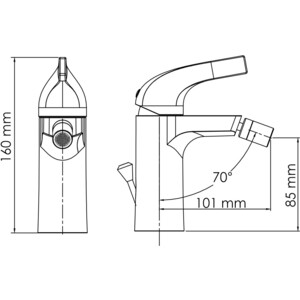 Смеситель для биде Wasserkraft Sauer с донным клапаном, глянцевое золото (7106)