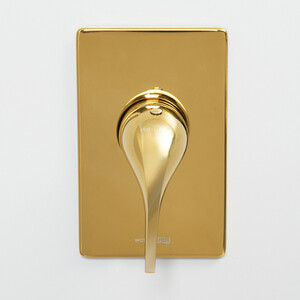 Смеситель для душа Wasserkraft Sauer глянцевое золото (7151)