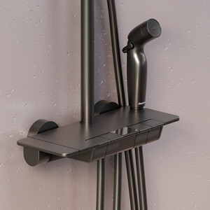 Душевая система Damixa Gala с термостатом и гигиенической лейкой, черный (953770300)