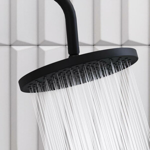 Душевой гарнитур Damixa Apollo черный (947000300)