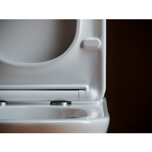 Бачок для унитаза Ceramicanova Alfa Rimless (CN9002-T)