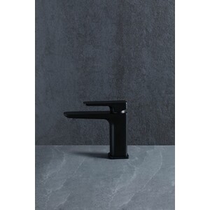 Смеситель для раковины Allen Brau Infinity черный матовый (5.21001-31)