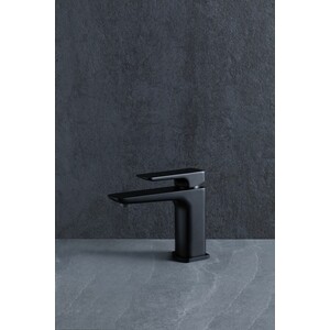 Смеситель для раковины Allen Brau Infinity черный матовый (5.21001-31)