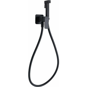 Гигиенический душ Allen Brau Infinity с гигиенической лейкой, черный матовый (5.21005-31)
