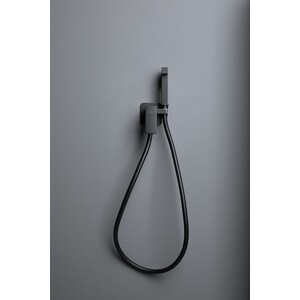 Гигиенический душ Allen Brau Infinity с гигиенической лейкой, черный матовый (5.21005-31)