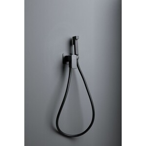 Гигиенический душ Allen Brau Infinity с гигиенической лейкой, черный матовый (5.21005-31)