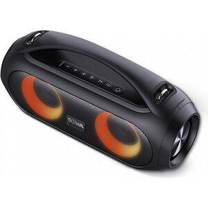 Портативная колонка BQ PBS1001 Черный