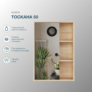 Зеркальный шкаф Sanstar Тоскана 50х73 дуб сонома светлый (407.1-2.4.1.)