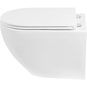 Унитаз подвесной безободковый Royce Pro с сиденьем микролифт (RCT-150517WH)