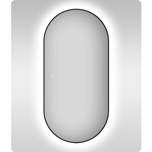 Зеркало Wellsee 7 Rays' Spectrum 55х100 подсветка, сенсор (172201540)