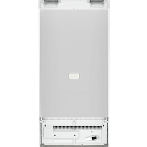 Холодильник Liebherr RBa30 425i