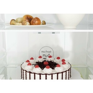 Холодильник Candy CCRN 6200B