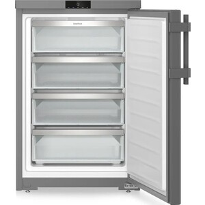 Морозильная камера Liebherr Fdgd 1404