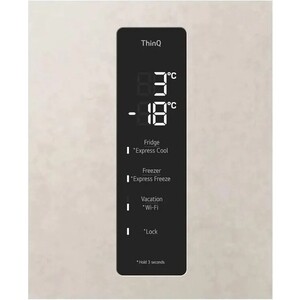 Холодильник LG GC-B459AEMW