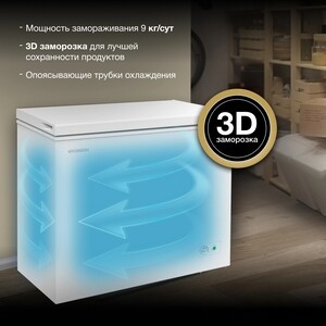 Морозильный ларь Hyundai CH20031