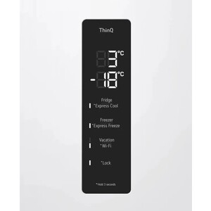 Холодильник LG GC-B459AQQW