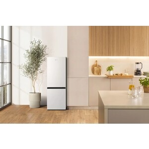 Холодильник Gorenje RK14F2W4