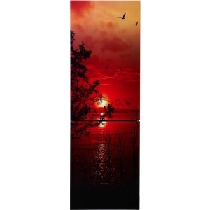Холодильник Орск 175 G glass Zakat