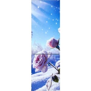 Холодильник Орск 177 B Glass ROSE