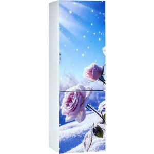 Холодильник Орск 177 B Glass ROSE