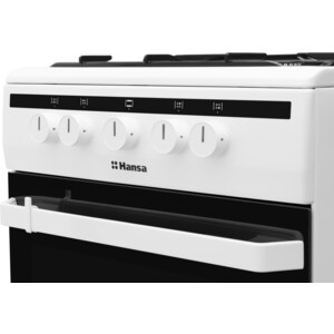 Газовая плита Hansa FCGW 51001