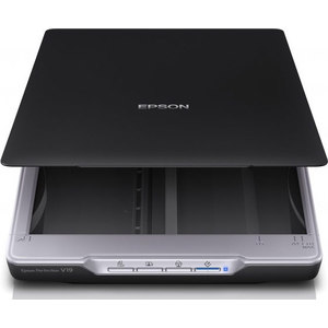 Сканер Epson Perfection V19