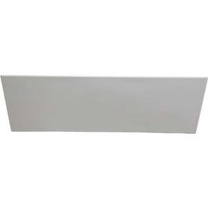 Фронтальная панель BAS Индика 170 с креплением (Э 00013)