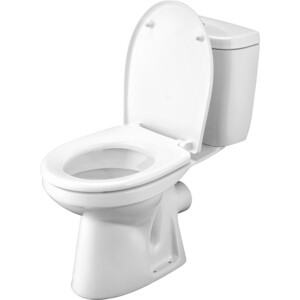 Унитаз-компакт Santek Анимо с микролифтом (1WH302135)