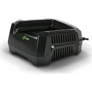 фото Зарядное устройство greenworks g82c (2914707)