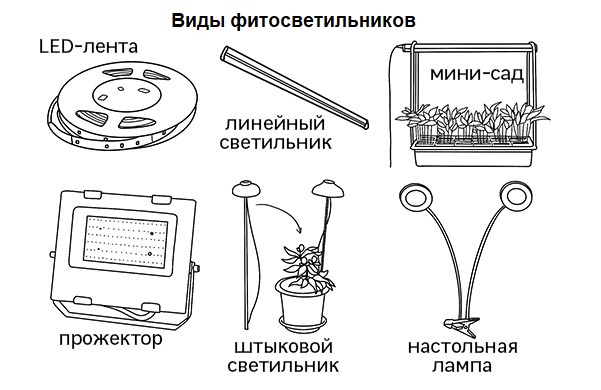 Виды фитосветильников