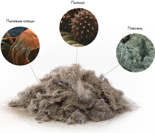 Чистота в доме