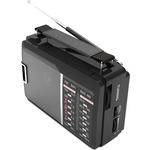 Портативный радиоприемник Ritmix RPR-190