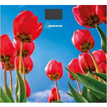Весы напольные HOMESTAR HS-6001I