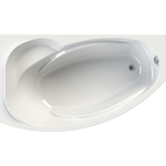 Акриловая ванна Radomir Vannesa София 170х100 левая, с каркасом и панелью (2-01-0-1-1-223, 2-21-0-1-0-223)
